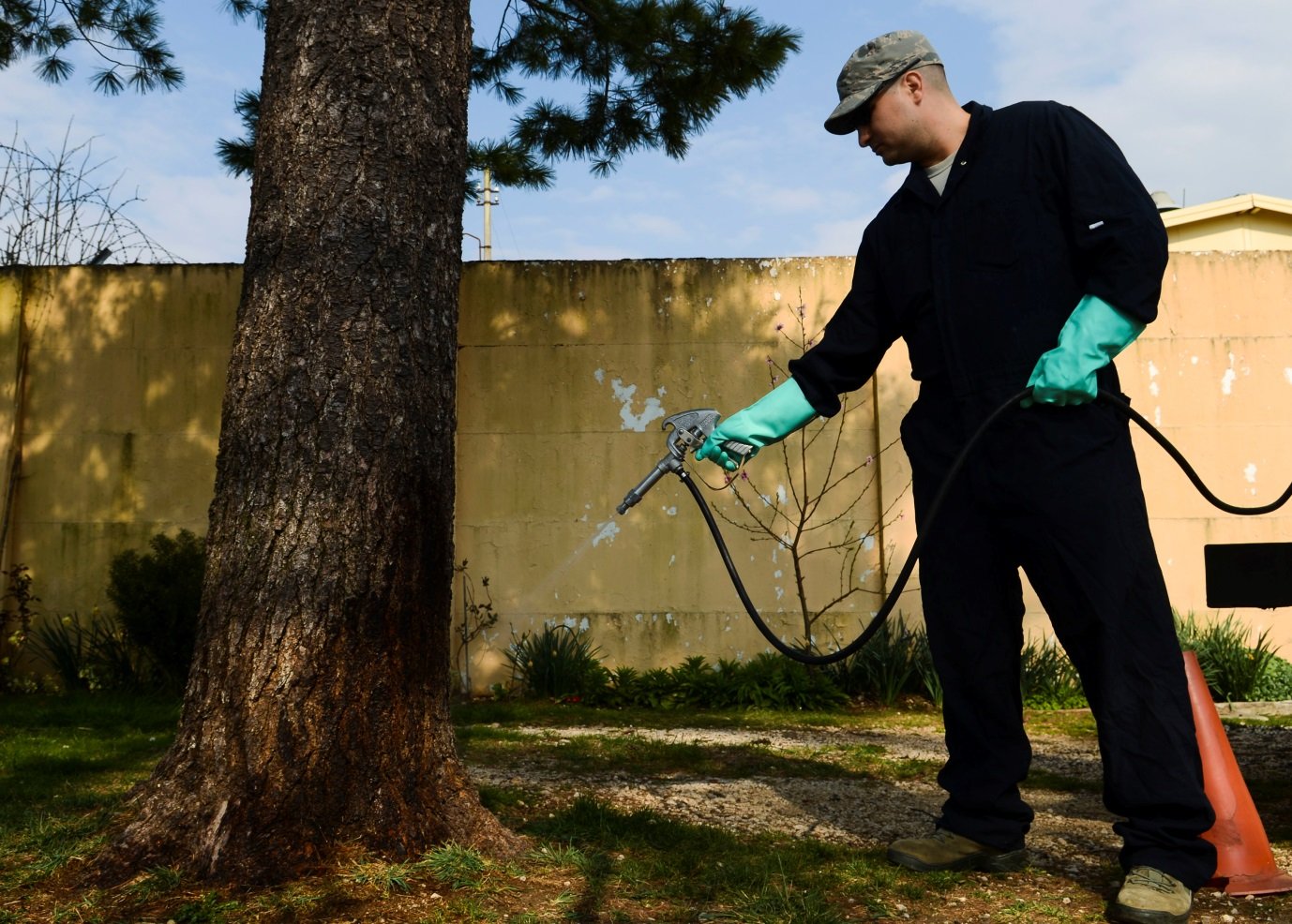 Pest Control and Bed Bug Treatment